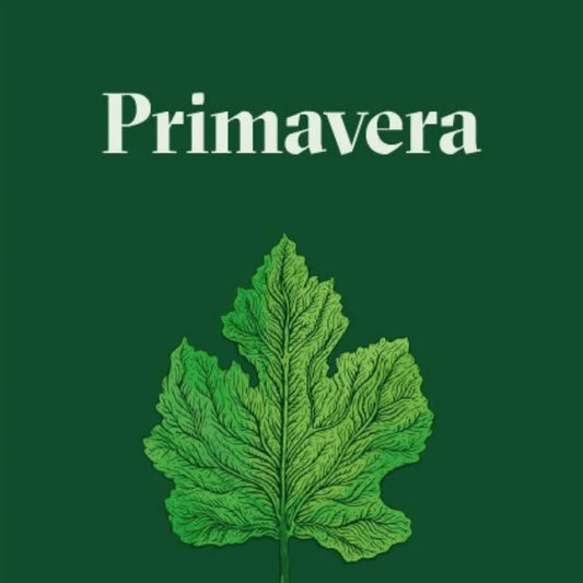 PRIMAVERA (DACHA)