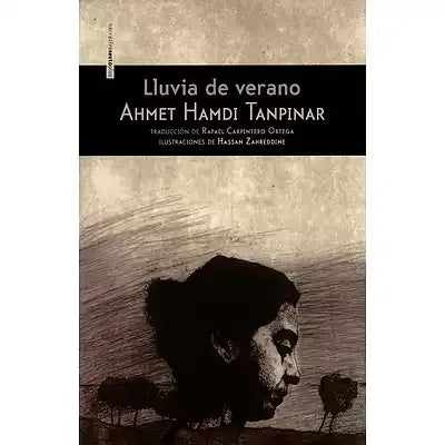 Lluvia de verano