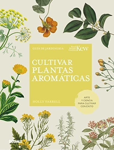 Cultivar plantas aromáticas