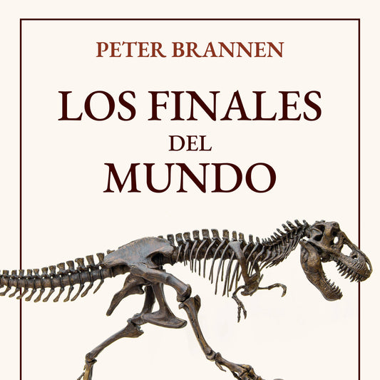 FINALES DEL MUNDO 2° Edic Shk